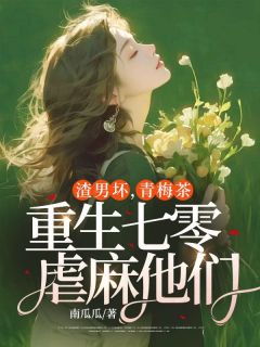 (抖音)渣男坏，青梅茶，重生七零虐麻他们 主角苏瑾慧钟思淼-暗夜阅读网