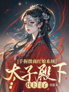 手握微商红娘系统，太子殿下找上门了[抖音]小说-孟晚词赵孤城无删减阅读