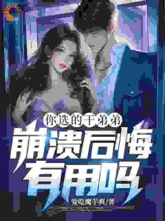 你选的干弟弟，崩溃后悔有用吗？小说-许墨林筱然全篇阅读