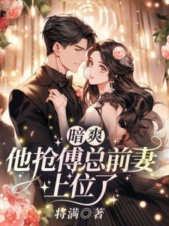 爆款小说由作者将满所创作的暗爽！他抢傅总前妻上位了在线阅读