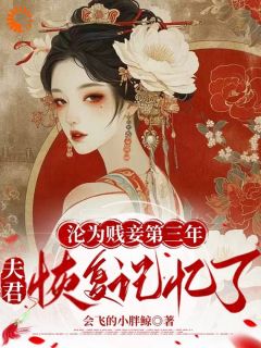 贬妻为妾，侯爷我不伺候啦快手热推余启慎如免费阅读-暗夜阅读网