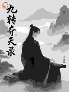 抖音小说九转夺天录，主角风栖梧张百善最后结局小说全文免费