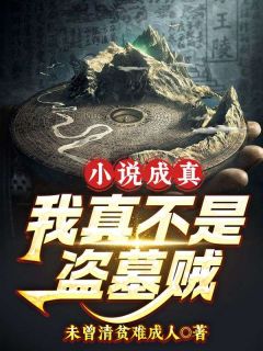小说成真，我真不是盗墓贼林川冰冰全本小说（小说成真，我真不是盗墓贼）全章节小说目录阅读-暗夜阅读网