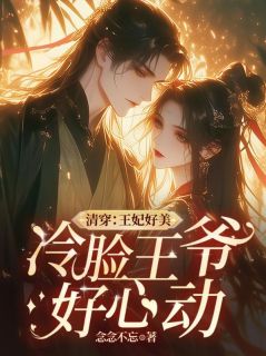值得熬夜看完的清穿：王妃好美，冷脸王爷好心动小说阅读