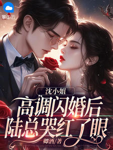 最完整版沈小姐高调闪婚后，陆总哭红了眼热门连载小说