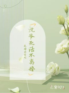 爆款小说由作者老鬼921所创作的先婚后爱：沈爷死活不离婚在线阅读-暗夜阅读网