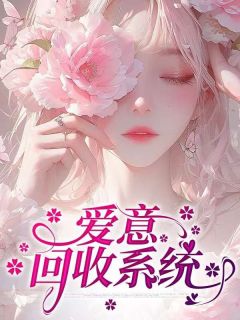 老书虫书荒推荐爱意回收系统txt小说阅读