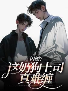 闪婚?这奶狗上司真难缠赵芜鱼邓北辰全章节在线阅读-暗夜阅读网