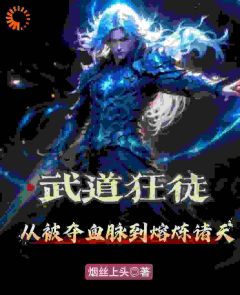 武道狂徒：从被夺血脉到熔炼诸天在线全文阅读-主人公陆沉陆然小说