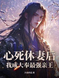 心死休妻后，我成大奉最强亲王(宁阙林仙鸿)全文完整版阅读