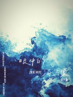 独家眼中的海与棠小说-主角倪棠宋川全文免费阅读