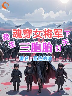 【魂穿女将军，我生三胞胎打天下】小说在线阅读-魂穿女将军，我生三胞胎打天下免费版目录阅读全文