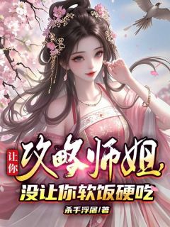 抖音爆款小说让你攻略师姐，没让你软饭硬吃叶风叶擎天免费txt全文阅读
