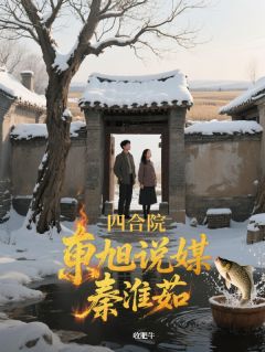 四合院：东旭说媒秦淮茹小说在线阅读，主角宋晨光秦淮茹贾东旭精彩段落最新篇-暗夜阅读网