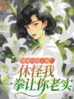 值得熬夜看完的婆婆向我立威？休怪我一拳让你老实小说阅读