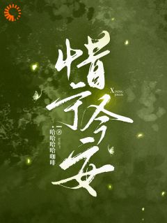 惜宁今安无弹窗在线阅读
