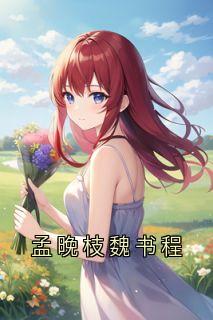 抖音热推小说孟晚枝魏书程全文在线阅读-暗夜阅读网