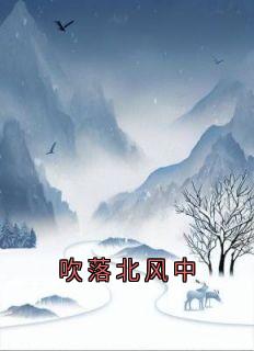 吹落北风中免费阅读全文，主角绍宴霖舒妍林亦可顾笙萧小说完整版最新章节