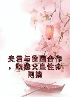 【热文】夫君与敌国合作，取我父皇性命阿婉主角阿婉纪云川小说全集免费阅读