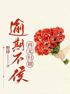 爆款热文宋从梦俞文黎在线阅读-逾期不候，再无归期全章节列表