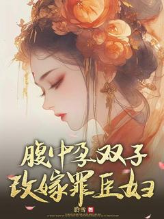 腹中孕双子，改嫁罪臣妇无广告阅读 秦筝赵瑟免费在线阅读
