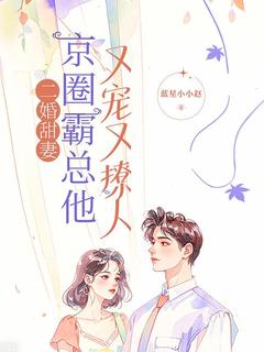 二婚甜妻：京圈霸总他又宠又撩人小说全章节目录阅读BY蓝星小小赵完结版阅读