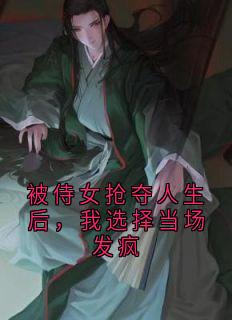 老书虫力荐被侍女抢夺人生后，我选择当场发疯免费无弹窗阅读