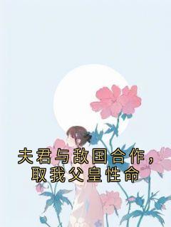 夫君与敌国合作，取我父皇性命(佚名小说)小说最新章节