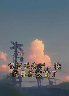好书推荐记忆丢失后，我的身份被偷了郑超沈书怡全文在线阅读