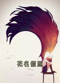 花名假照小说(完结)-林亦洲江辰傅婉卿无删减阅读