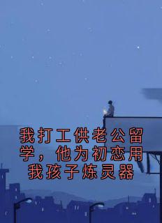 我打工供老公留学，他为初恋用我孩子炼灵器小说(完本)-林月如卢窈无错版阅读-暗夜阅读网