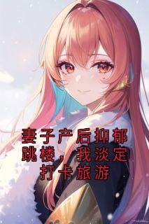 熬夜也要看完的妻子产后抑郁跳楼，我淡定打卡旅游小说推荐-暗夜阅读网
