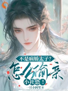 穿成了里面没活过一章的炮灰全文目录-苏锦沅晏昭小说无弹窗阅读