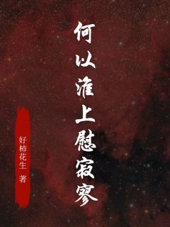 何以淮上慰寂寥小说好看吗 盛淮序宋晚意最后结局如何