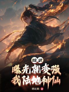 综武：曝光就变强，我陆地神仙叶枫乔峰免费全章节目录阅读