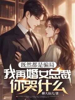 既然都是骗局，我再婚女总裁你哭什么（林梦佳周宴安）精彩小说目录阅读