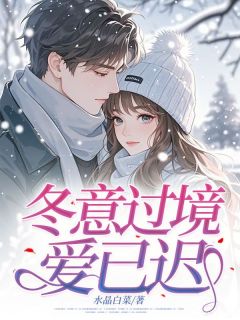 冬意过境爱已迟林海星薄淮之全章节在线阅读