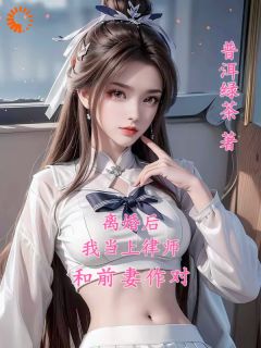 陆玄苏梦月小说离婚后，我当上律师和前妻作对免费阅读