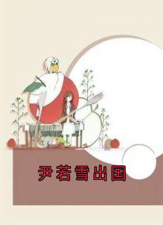 熬夜也要看完的尹若雪出国小说推荐