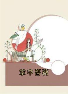 掌中蔷薇岑意傅瑾行全章节目录免费阅读