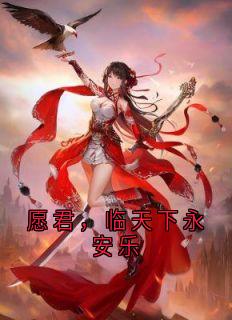 全章节小说愿君，临天下永安乐江天临最新阅读-暗夜阅读网