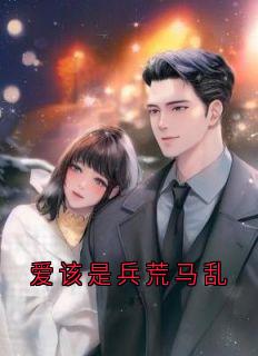 良心推荐爱该是兵荒马乱小说试读