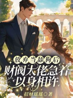 主角是沈清禾秦溯宋逸的拒爱！我的新老公可有大身份抖音热门小说