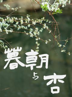 暮朝与杏慕朝桂芝免费全章节目录阅读-暗夜阅读网