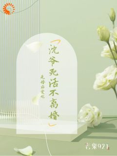 先婚后爱：沈爷死活不离婚小说全章节目录阅读BY老鬼921完结版阅读