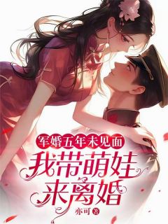 主角沈念卿陆归尘秦邦泽小说爆款军婚五年未见面，我带萌娃来离婚完整版小说