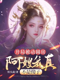 快手热文开局被动圆房，阿嫂我真不是傻子许修年苏乐瑶小说推荐