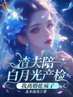顾宁袁景淮全本小说 渣夫陪白月光产检，我离婚他疯了全文免费在线阅读