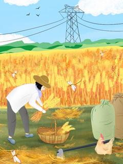 爆款小说离婚后，他一无所有在线阅读-叶琼枝宋贺远免费阅读