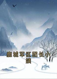 霍晚棠的小说鹿城军区团长小姨全文阅读